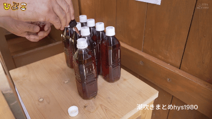 皆瀬あかり 伊織ひなの ゆめ莉りか 大量潮吹き！初々しい制服JC達が 鬼畜オジ達に狙われる